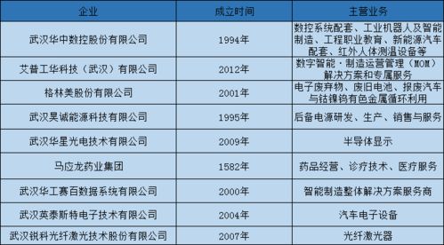 一窺武漢工業(yè)互聯(lián)網(wǎng)應(yīng)用的喜與憂