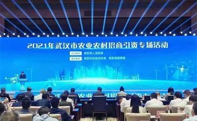 武漢農(nóng)業(yè)集團(tuán)