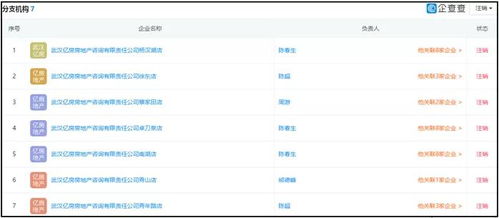 湖北消金合作方為客戶(hù)擔(dān)保引發(fā)關(guān)注，法院判決書(shū)揭示最高收取2%服務(wù)費(fèi)